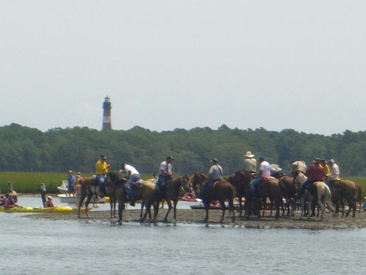 Chincoteague Pony Swim July 2007 074.JPG